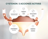 CYSTENON