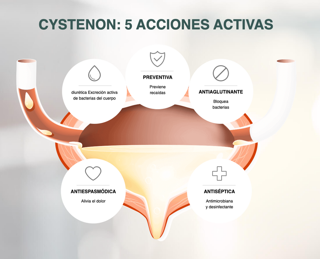 CYSTENON