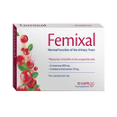 FEMIXAL