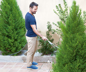 Stepluxe Summer 2x1 a 59,99€