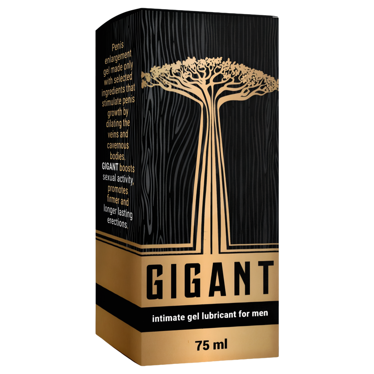 GIGANT