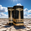 GIGANT