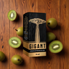 GIGANT