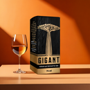 GIGANT