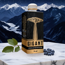 GIGANT