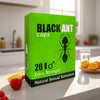 Black Ant