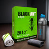 Black Ant