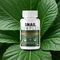 Snail Complex