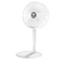 WINDENO HOME PORTABLE FAN