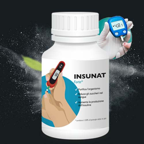 INSUNAT
