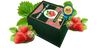 Home berry box